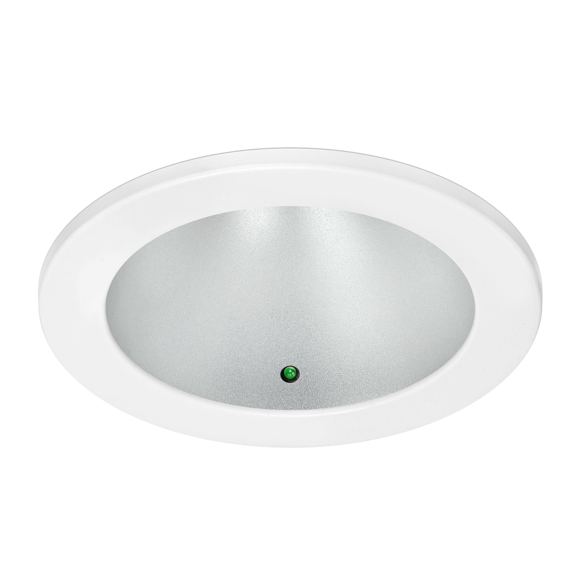 Millie Indoor Downlight